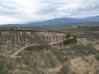 SABRİ PINARBAŞI 'dan EDREMİT YAYLA ÖNÜN'de SATILIK ZEYTİNLİK