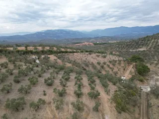 SABRİ PINARBAŞI 'dan EDREMİT YAYLA ÖNÜN'de SATILIK ZEYTİNLİK