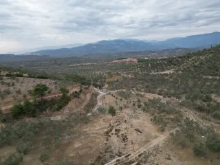 SABRİ PINARBAŞI 'dan EDREMİT YAYLA ÖNÜN'de SATILIK ZEYTİNLİK