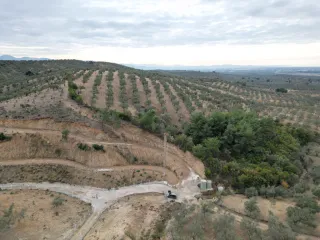 SABRİ PINARBAŞI 'dan EDREMİT YAYLA ÖNÜN'de SATILIK ZEYTİNLİK