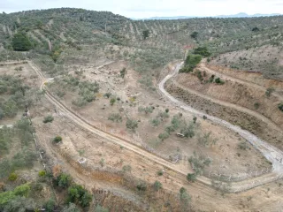 SABRİ PINARBAŞI 'dan EDREMİT YAYLA ÖNÜN'de SATILIK ZEYTİNLİK