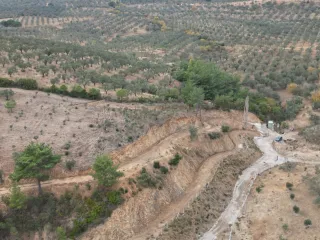 SABRİ PINARBAŞI 'dan EDREMİT YAYLA ÖNÜN'de SATILIK ZEYTİNLİK