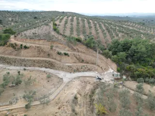 SABRİ PINARBAŞI 'dan EDREMİT YAYLA ÖNÜN'de SATILIK ZEYTİNLİK