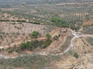 SABRİ PINARBAŞI 'dan EDREMİT YAYLA ÖNÜN'de SATILIK ZEYTİNLİK