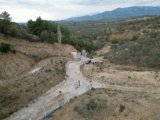SABRİ PINARBAŞI 'dan EDREMİT YAYLA ÖNÜN'de SATILIK ZEYTİNLİK