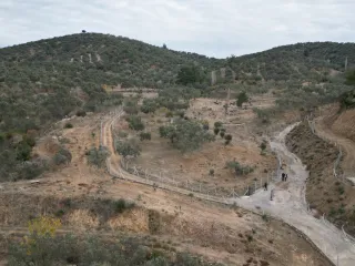 SABRİ PINARBAŞI 'dan EDREMİT YAYLA ÖNÜN'de SATILIK ZEYTİNLİK