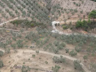 SABRİ PINARBAŞI 'dan EDREMİT YAYLA ÖNÜN'de SATILIK ZEYTİNLİK