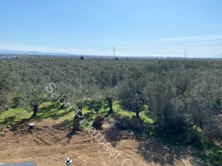 SABRİ PINARBAŞI'dan ZEYTİNLİ'de SATILIK SIFIR 4+1 LÜKS VİLLA