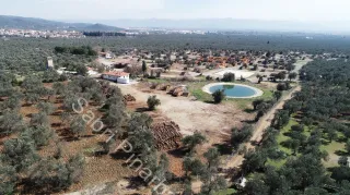 SABRİ PINARBAŞI'dan ZEYTİNLİ BÖLGESİNDE SATILIK 5DÖNÜM ZEYTİNLİK