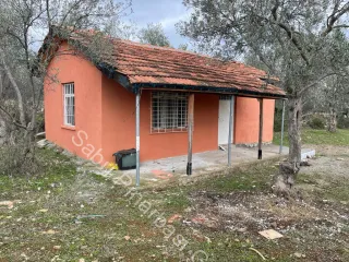 SABRİ PINARBAŞI'dan ZEYTİNLİ BÖLGESİNDE SATILIK 5DÖNÜM ZEYTİNLİK