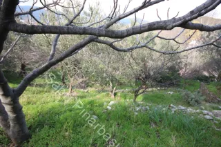 SABRİ PINARBAŞI'dan KIZILKEÇİLİ'de SATILIK 1400m2 ARSA İÇİNDE MÜSTAKİL EV
