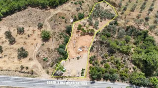 SABRİ PINARBAŞI'dan EDREMiT HACIHASANLAR'da SATILIK 4DÖNÜM SETLERİ HAZIR ZEYTİNLİK