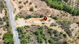 SABRİ PINARBAŞI'dan EDREMiT HACIHASANLAR'da SATILIK 4DÖNÜM SETLERİ HAZIR ZEYTİNLİK