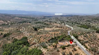 SABRİ PINARBAŞI'dan EDREMiT HACIHASANLAR'da SATILIK 4DÖNÜM SETLERİ HAZIR ZEYTİNLİK