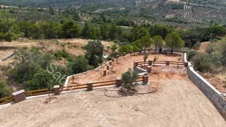 SABRİ PINARBAŞI'dan EDREMiT HACIHASANLAR'da SATILIK 4DÖNÜM SETLERİ HAZIR ZEYTİNLİK