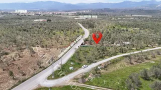 SABRİ PINARBAŞI'dan HAVRAN'da SATILIK YOLA CEPHELİ EVİ OLAN HOBİ BAHÇESİ