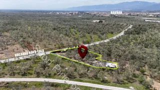 SABRİ PINARBAŞI'dan HAVRAN'da SATILIK YOLA CEPHELİ EVİ OLAN HOBİ BAHÇESİ
