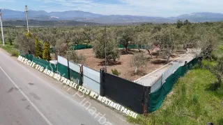 SABRİ PINARBAŞI'dan HAVRAN'da SATILIK YOLA CEPHELİ EVİ OLAN HOBİ BAHÇESİ