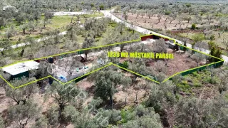 SABRİ PINARBAŞI'dan HAVRAN'da SATILIK YOLA CEPHELİ EVİ OLAN HOBİ BAHÇESİ