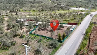 SABRİ PINARBAŞI'dan HAVRAN'da SATILIK YOLA CEPHELİ EVİ OLAN HOBİ BAHÇESİ