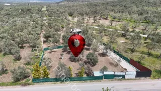 SABRİ PINARBAŞI'dan HAVRAN'da SATILIK YOLA CEPHELİ EVİ OLAN HOBİ BAHÇESİ