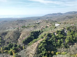 SABRİ PINARBAŞI'dan GÜRE BÖLGESİ TAHTAKUŞLAR'da İMARIN YANINDA 20DÖNÜM ZEYTİNLİK