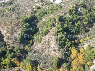 SABRİ PINARBAŞI'dan GÜRE BÖLGESİ TAHTAKUŞLAR'da İMARIN YANINDA 20DÖNÜM ZEYTİNLİK