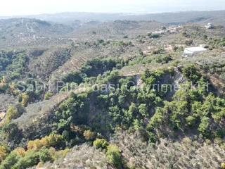 SABRİ PINARBAŞI'dan GÜRE BÖLGESİ TAHTAKUŞLAR'da İMARIN YANINDA 20DÖNÜM ZEYTİNLİK