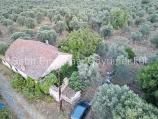 SABRİ PINARBAŞI'dan TAHTAKUŞLAR'da SATILIK YATIRIMLIK ZEYTİNLİK
