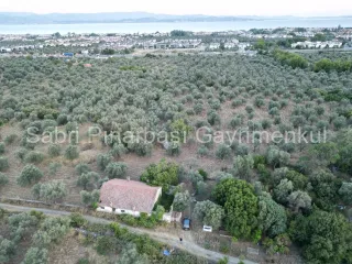SABRİ PINARBAŞI'dan TAHTAKUŞLAR'da SATILIK YATIRIMLIK ZEYTİNLİK