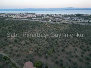 SABRİ PINARBAŞI'dan TAHTAKUŞLAR'da SATILIK YATIRIMLIK ZEYTİNLİK