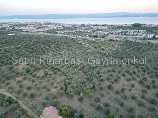 SABRİ PINARBAŞI'dan TAHTAKUŞLAR'da SATILIK YATIRIMLIK ZEYTİNLİK