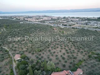 SABRİ PINARBAŞI'dan TAHTAKUŞLAR'da SATILIK YATIRIMLIK ZEYTİNLİK
