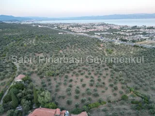 SABRİ PINARBAŞI'dan TAHTAKUŞLAR'da SATILIK YATIRIMLIK ZEYTİNLİK