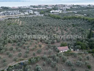 SABRİ PINARBAŞI'dan TAHTAKUŞLAR'da SATILIK YATIRIMLIK ZEYTİNLİK