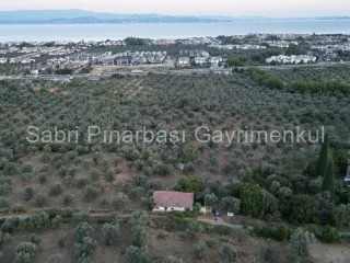 SABRİ PINARBAŞI'dan TAHTAKUŞLAR'da SATILIK YATIRIMLIK ZEYTİNLİK