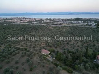 SABRİ PINARBAŞI'dan TAHTAKUŞLAR'da SATILIK YATIRIMLIK ZEYTİNLİK
