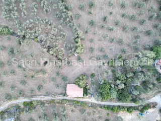 SABRİ PINARBAŞI'dan TAHTAKUŞLAR'da SATILIK YATIRIMLIK ZEYTİNLİK