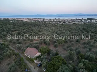 SABRİ PINARBAŞI'dan TAHTAKUŞLAR'da SATILIK YATIRIMLIK ZEYTİNLİK