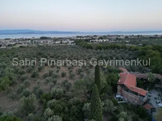 SABRİ PINARBAŞI'dan TAHTAKUŞLAR'da SATILIK YATIRIMLIK ZEYTİNLİK