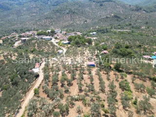 SABRİ PINARBAŞI'dan EDREMİT DERELİ'de KÖY'ün YANINDA SATILIK YATIRIMLIK ZEYTİNLİK