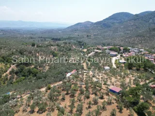 SABRİ PINARBAŞI'dan EDREMİT DERELİ'de KÖY'ün YANINDA SATILIK YATIRIMLIK ZEYTİNLİK
