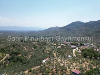 SABRİ PINARBAŞI'dan EDREMİT DERELİ'de KÖY'ün YANINDA SATILIK YATIRIMLIK ZEYTİNLİK