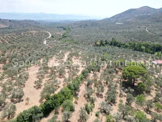 SABRİ PINARBAŞI'dan EDREMİT DERELİ'de SATILIK YOLA CEPHELİ YATIRIMLIK ZEYTİNLİK