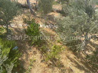 SABRİ PINARBAŞI'dan HAVRAN KÜÇÜKDERE'de 941 m2 İÇİNDE EVİ OLAN SATILIK HOBİ BAHÇESİ