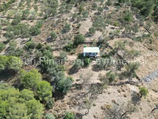 SABRİ PINARBAŞI'dan HAVRAN KÜÇÜKDERE'de 941 m2 İÇİNDE EVİ OLAN SATILIK HOBİ BAHÇESİ