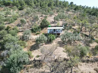 SABRİ PINARBAŞI'dan HAVRAN KÜÇÜKDERE'de 941 m2 İÇİNDE EVİ OLAN SATILIK HOBİ BAHÇESİ