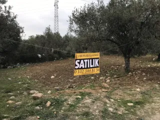 SABRİ PINARBAŞI 'dan ZEYTİNLİ 'de YOLA SIFIR 1996 M2 SATILIK KONUT İMARLI ARSA