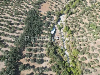 SABRİ PINARBAŞI'dan KIZILKEÇİLİ'de SATILIK 19.783 m2 YATIRIMLIK ZEYTİNLİK
