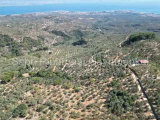 SABRİ PINARBAŞI'dan ALTINOLUK ARITAŞI'nda SATILIK 3800 m2 DENİZ MANZARALI ZEYTİNLİK